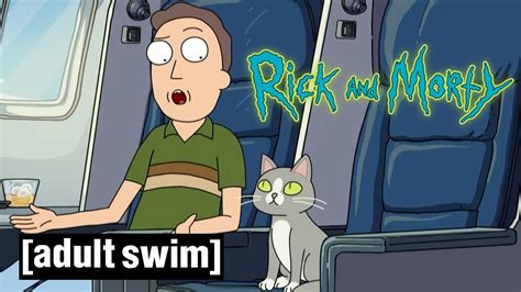 rick and morty sprechende katze|Talking Cat 